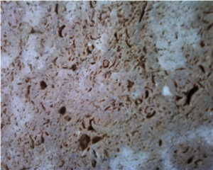 Hashma Sandstone Tile, Egypt Beige Sandstone