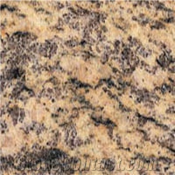 Tiger Skin Yellow Granite Tiles