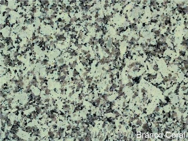 Branco Coral Granite Tiles, Portugal White Granite