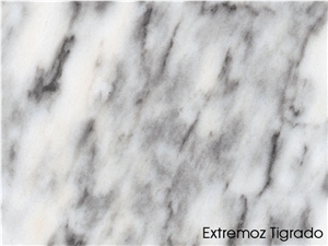 Extremoz Tigrado Marble Tile, Portugal Grey Marble