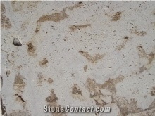 Brown Coral Stone Tiles