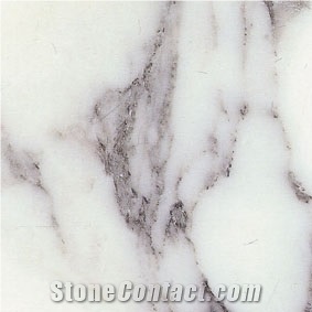 Arabescato Corchia Marble Tile, Italy White Marble