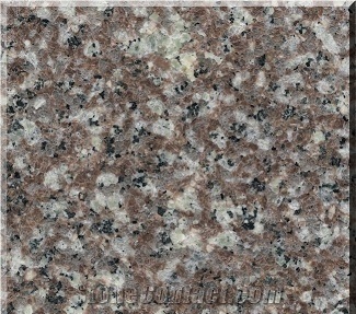 Chinese Popular Granite G664 Tiles,Slab