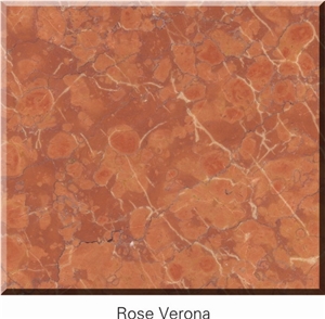 Rose Verona