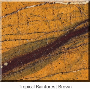 Tropical Rainforest Brown