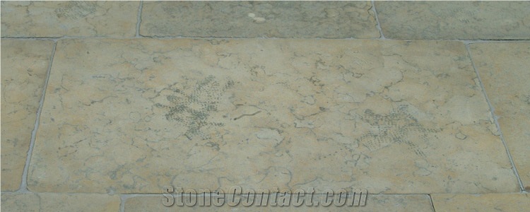 Jerusalem Beige Limestone Floor Tile