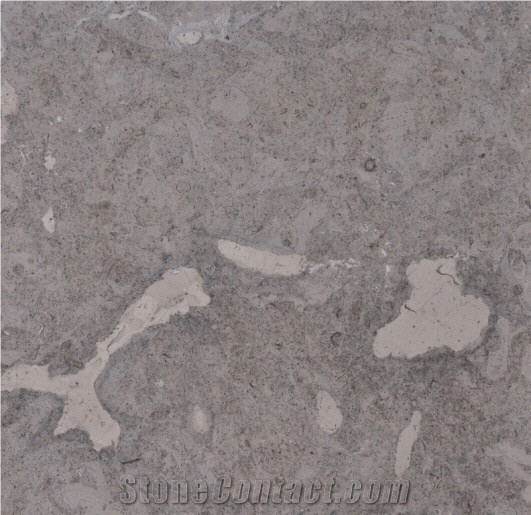 Imperial Grey Limestone Slabs, Israel Grey Limestone