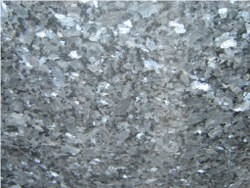 Grey Labrador Marble