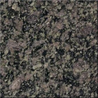 Forest Green, India Green Granite Slabs & Tiles