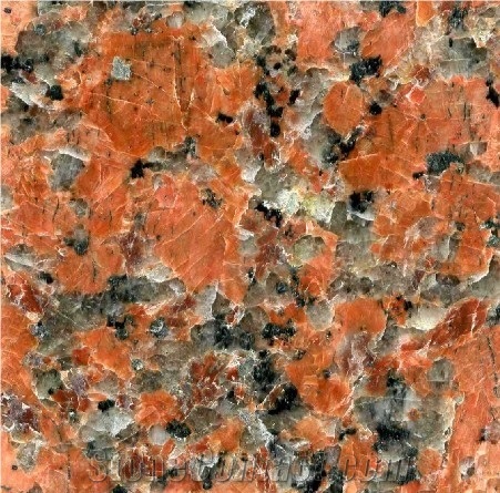 G562 Granite Tile, Maple Red Granite Tiles