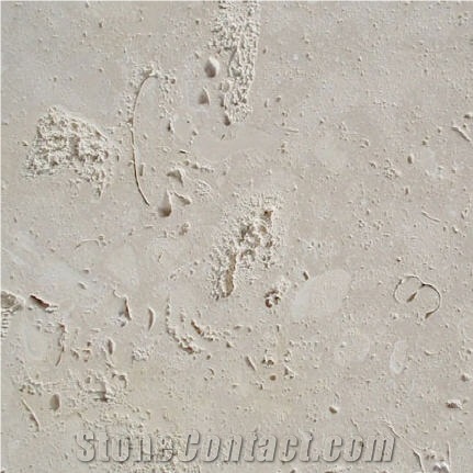 Coral Stone Tiles, Philippines White Coral Stone