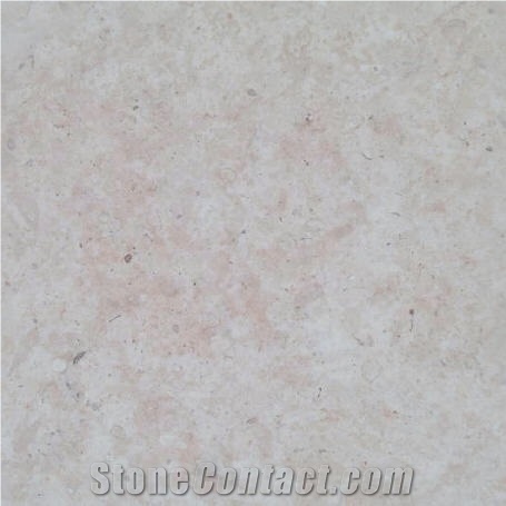 Pink Coral Stone, Pink Shell Stone Tiles