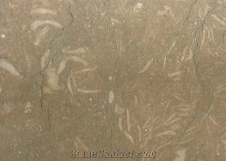 Seagrass Limestone, Rustic Green Limestone Slabs