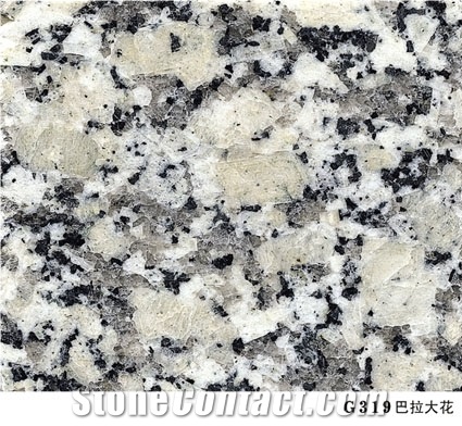 Chinese Granite Bala Flower, China Grey Granite