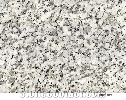 Chinese Granite Bala White, China Grey Granite