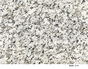 Chinese Granite Bala White, China Grey Granite