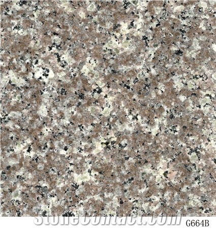 Misty Brown Granite Tiles