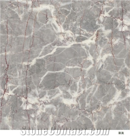 Chinese Marble Multicolor Grey