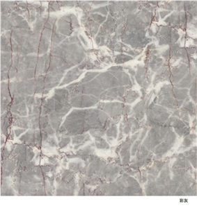 Chinese Marble Multicolor Grey