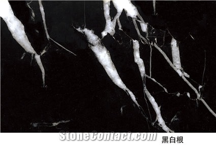 Chinese Marble Negro Marquina B, Nero Marquina Marble Tiles