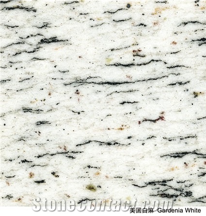 Imported Granite Gardenia White