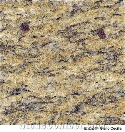 Imported Granite,Giallo Cecilia Granite Tile, Brazil Yellow Granite