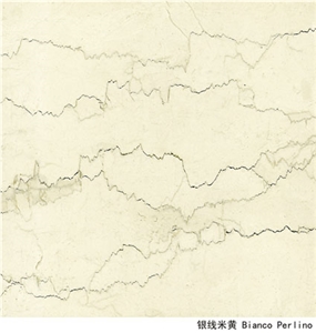 Imported Limestone,Perlino Bianco Limestone Tile, Italy White Limestone