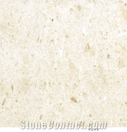 Imported Marble Golden Shell Beige