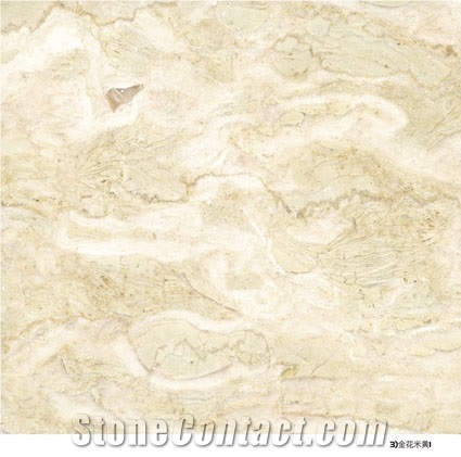 Imported Marble,Perlato Svevo Marble Tile, Italy Beige Marble