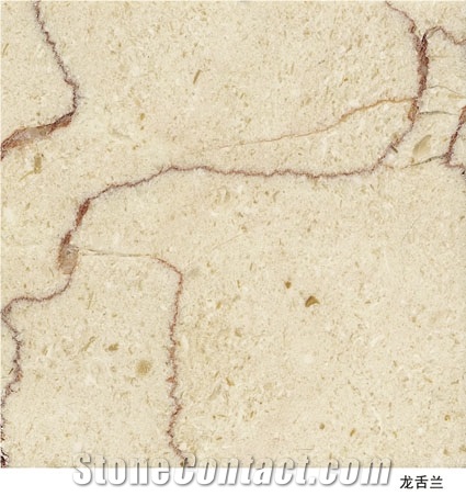Imported Marble Shell Beige