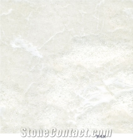 Imported Marble Silver Grey Roman
