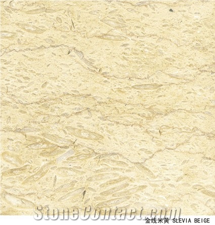 Imported Marble Sunny Yellow