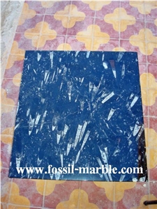 Black Slab Fossil Marble Morocco