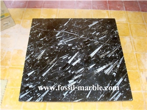 Black Slab Fossil Marble Morocco