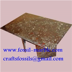 Tables En Marbre Fossilise, Fossile Marrone Brown Limestone