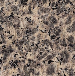 G1082 Leopard Granite, Leopard Flower Granite Tiles