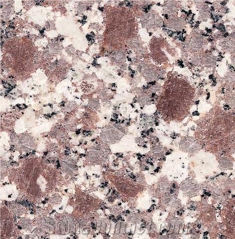 G608 Snow Plum Granite, China Pink Granite from China - StoneContact.com