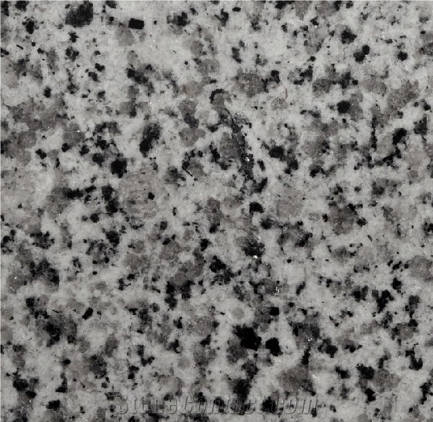 G640 Oriental White Granite