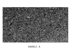 Saheli Black Granite Block