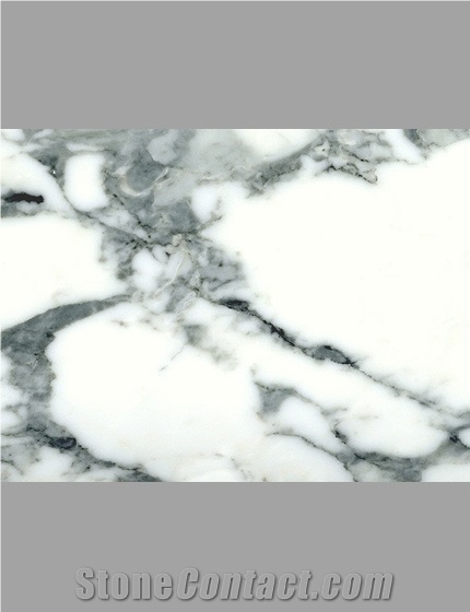 Arabescato Marble, Italy White Marble Slabs & Tiles