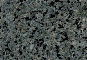 Leopard Skin-2 Granite