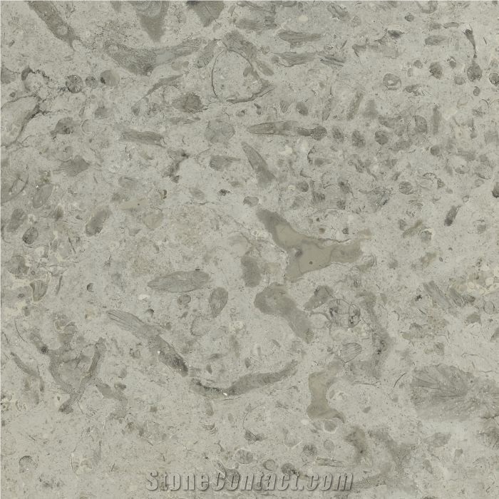 Transylvania Coral Tile, Limestone