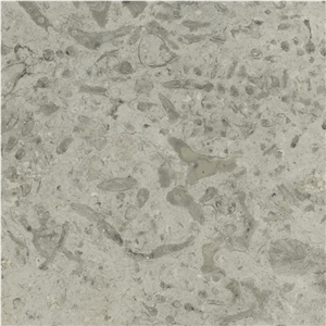 Transylvania Coral Tile, Limestone