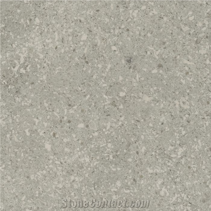 Transylvania Grey Limestone
