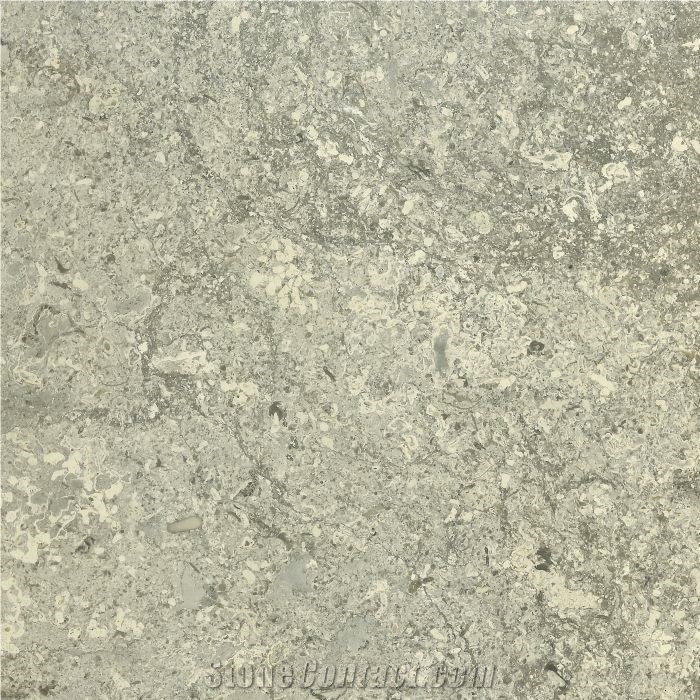 Transylvania V Gray Tiles, Limestone