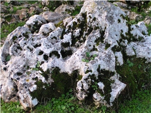 Natural Garden Stone