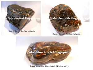 Amber Fossil Stone