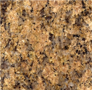 Giallo Veneziano Granite Slab, Brazil Yellow Granite