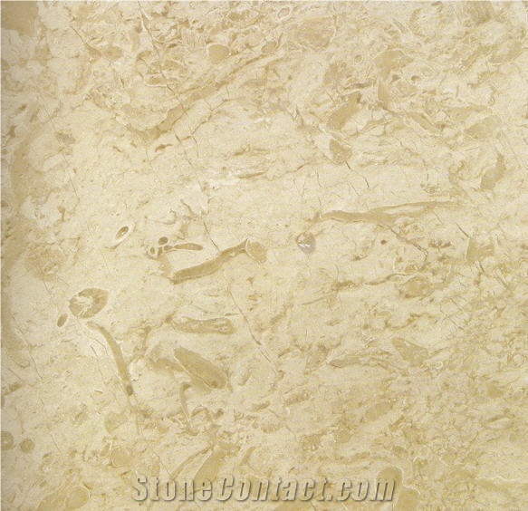 Jurassic Beige, Turkey Beige Marble Slabs & Tiles