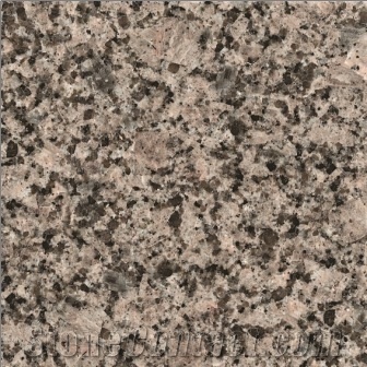 Vozrozhdenie Granite Tiles, Russian Federation Grey Granite